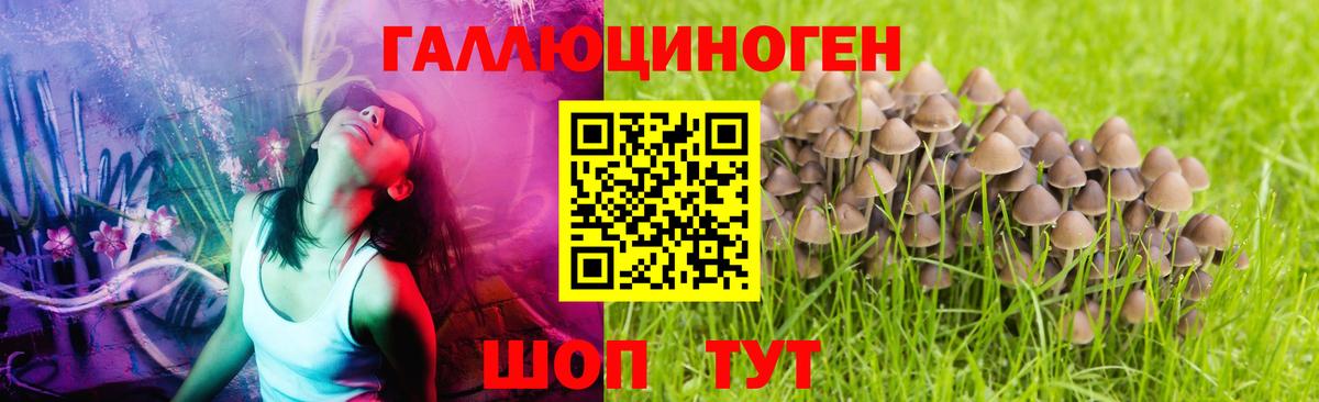Саянск  Галлюциногенные грибы Psilocybine cubensis  Псилоцибиновые грибы Magic Shrooms  Вход с VPN 